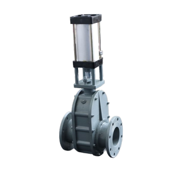 Storage pump double-gate feed valve