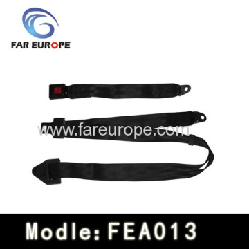 Automatic Car Safety Belt?