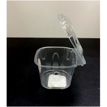 Venta caliente transparente Mini 50G arándanos Clamshell