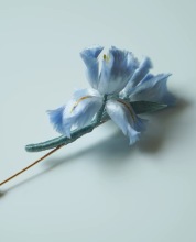 Non-legacy iris velvet brooch