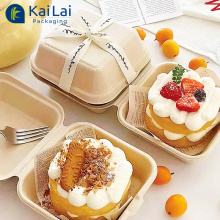 Biodegradable Sugarcane Bagasse Takeout Containers