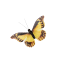 Artisanat papillon jaune