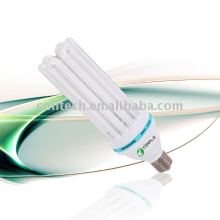 high lumen fluorescent lamps