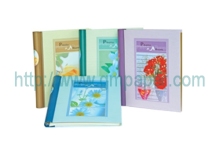 Self-adhesive album A223010