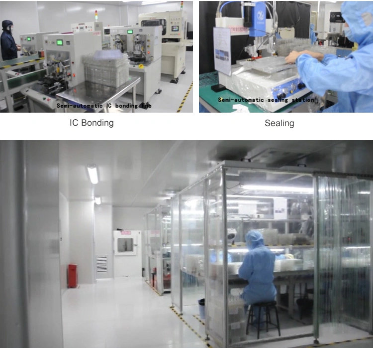 10.1 Inch IPS LCD Display 1280X800 DOT LCD Screen Lvds