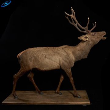 Model rusa ukuran hidup animatronik