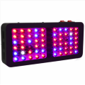 Alto valor PAR cresce luz LED para flores