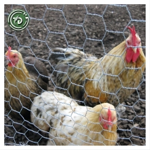 6 Feet Galvanized Hexagonal Chicken Wire Mesh - Small Chicken Wire for Crafts