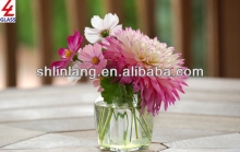 hydroponics flowers glass bottle