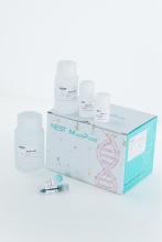 Magnetic Blood Genomic DNA Isolation Kit