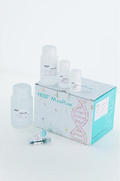 Magnetic Pathogens Nucleic Acid(DNA/RNA)Isolation Kit
