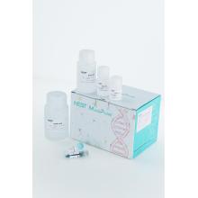 Magnetic Blood Genomic DNA Isolation Kit