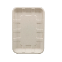 Eco Friendly Compostable Unbleached Bagasse Food/Meal Tray