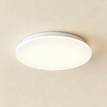 Soft-tone indoor ceiling lamp