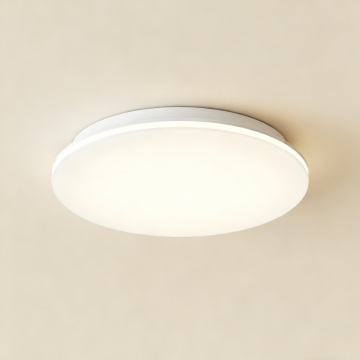 Soft-tone indoor ceiling lamp