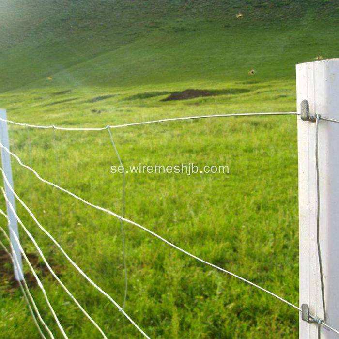 Cattle Fence-Hot Dipped Galvaniserat Field Fence