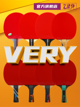 Friendship 729 VERY Series Table Tennis Racket