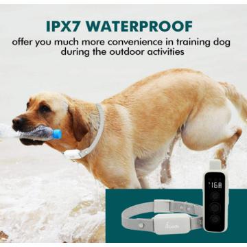 1000Ft Remote Range Waterproof Dog Collar