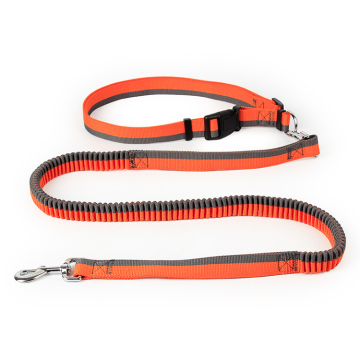 Bungee dog leash low minimum order quantity