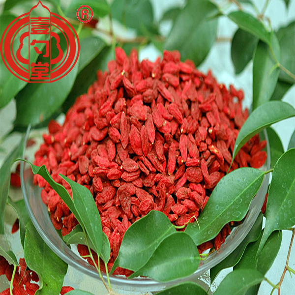 The Superfood Goji Berries