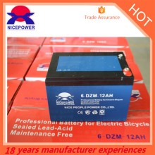 100% Real Capacity Long distance 24v 12ah E-bike battery