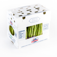 Corrugated Asparagus Box & Plastic Crates - PP Corrugated Vegetable Containers