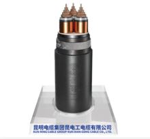 XLPE Insulated Power Cable for Urban Rail Transit