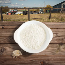 garlic extract allicin powder 25% 30% 50%