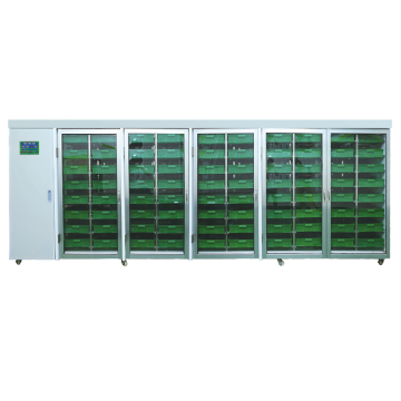 Commercial Hydroponic Barley Fodder Growing Room | Hydroponic Wheat Forage Sprouting Cabinet