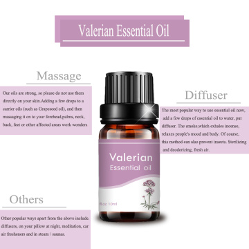 Etiqueta privada de grado terapéutico Pure 10ml Valerian Oil Valerian