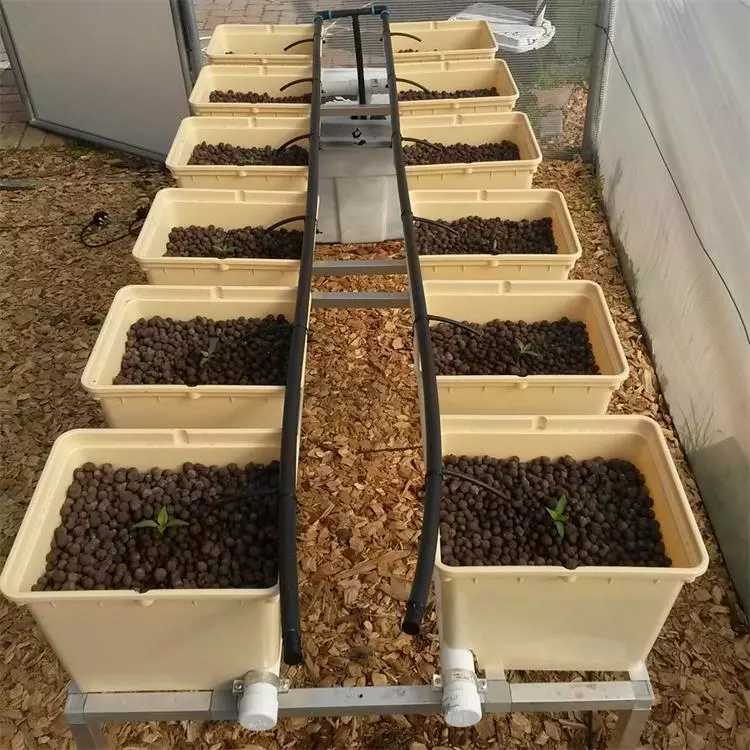Skyplant hydroponic dutch bucket tomatoes grow system