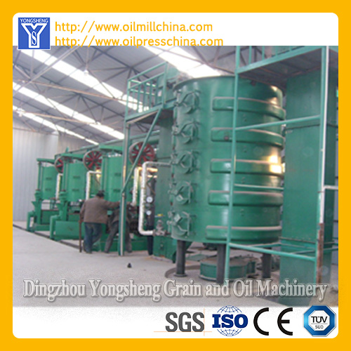 Edible Oil Mill Manufacturer