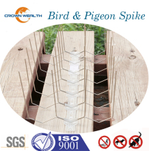 Bird Spikes - Bird Proofing