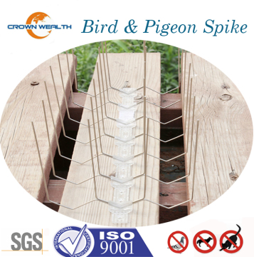 Bird Spikes - Bird Proofing