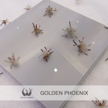 Gery Nanoglass Exterior Floor Stair Window Cill Graden Decoration