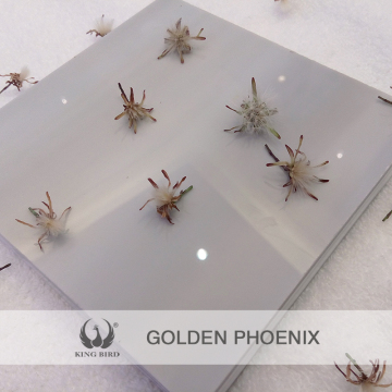 Gery Nanoglass Exterior Floor Stair Window Cill Graden Decoration