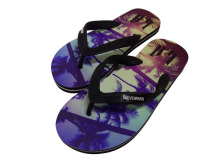 Latest Printing EVA Lady Slipper Beach Slipper (9673)