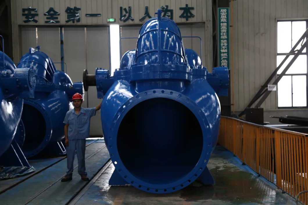 Low Pressure Pump Double-Suction Centrifigual Split Case Pumps with Factory Price