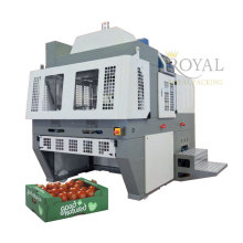 Automatic Fruit and Vegetable Tray Maker for Carton Fruit Box Formation