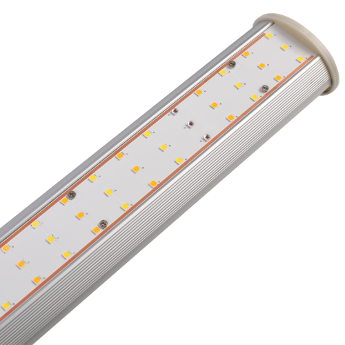 Dimmable LED élèvent la lumière 1000 watts