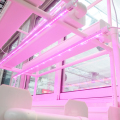 NFT Hydroponic-systeem voor thuis met LED