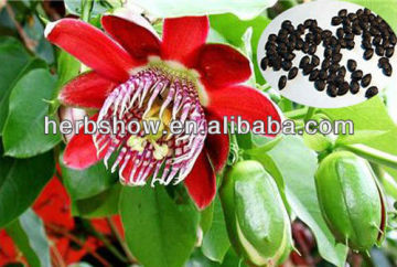 Passion Flowers seeds for growing