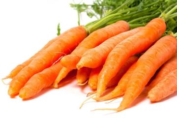 good quality carrot xiamen crop