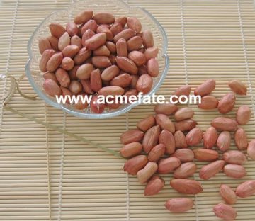 Shandong red skin Peanut Kernel