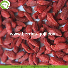 Hot Sale Super Dried Fruit Improve Eyesight Wolfberries