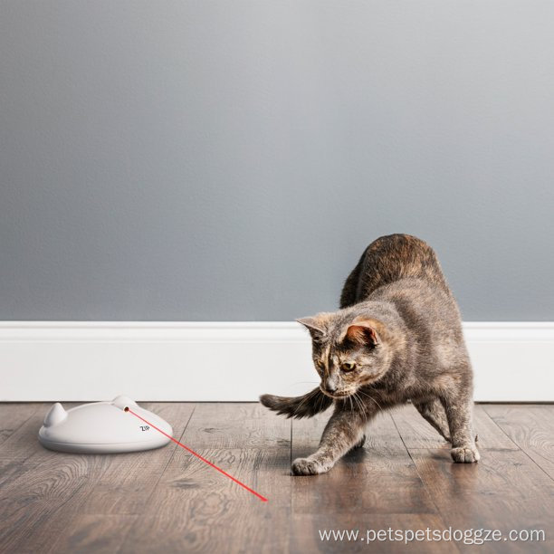 Interactive CAT Toy With Laser Moves in Random