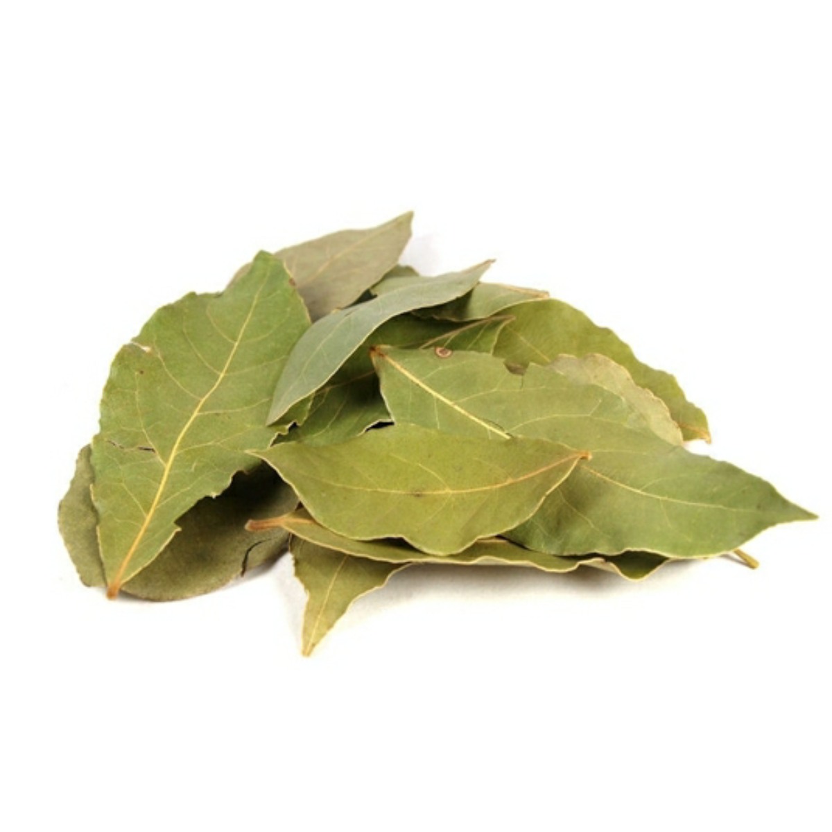 Laurel leaf moringa leaves leaf and mesh continuous drying machine for tea and other factory direct sales price