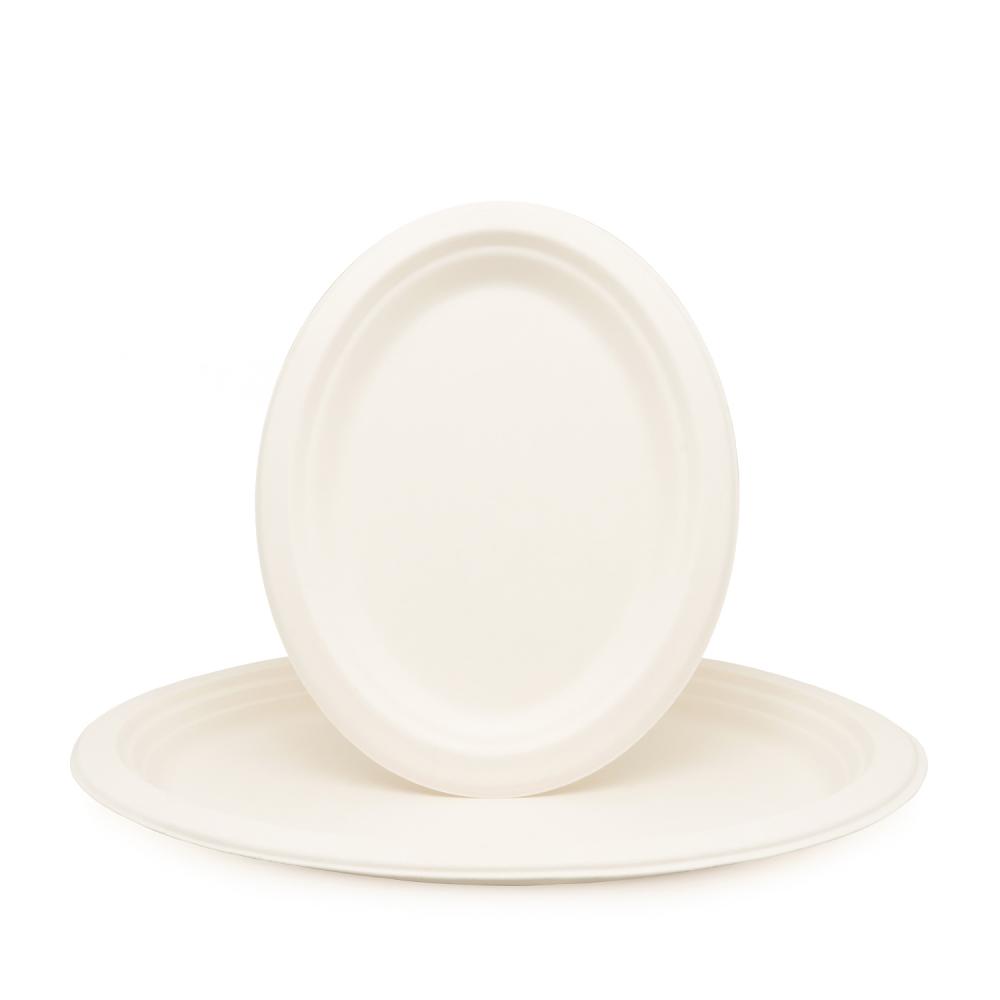 biodegradable disposable solid color bagasse tableware
