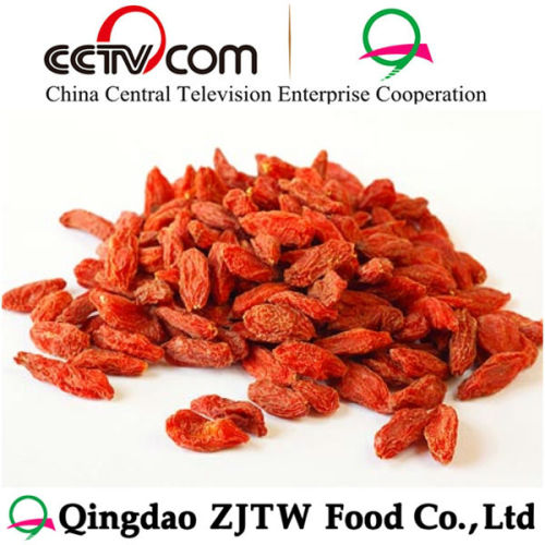 Goji Berries Organic Goji Berry Dried Red Medlar Berries