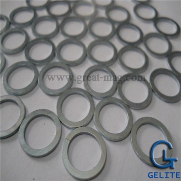 Big Profits Ring Permanent NdFeB Magnets